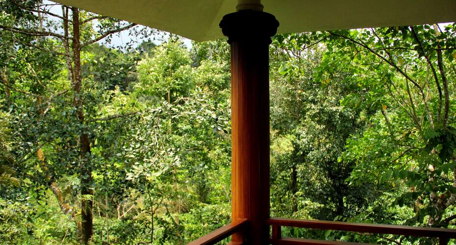 Rest In Nature Resort, Wayanad 5